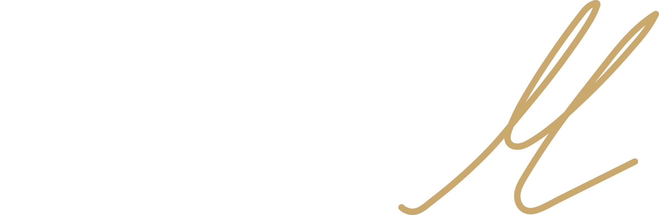 MacMaster Design