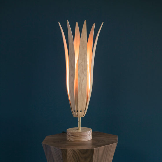 Fuchsia Table Light